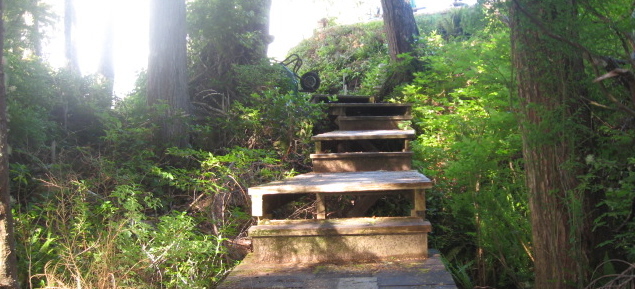 steps.jpg